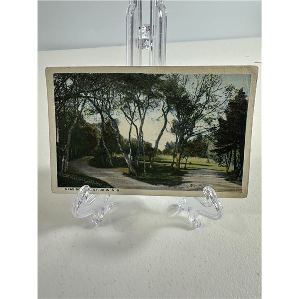 Antique Postcard   Seaside Park, St. John, New Brunswick