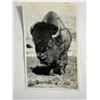 Image 1 : Real Photo Postcard   Buffalo, Early Canadian Wildlife Image