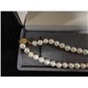 Image 3 : 14K Gold Necklace w/ Pearl Beads, 18" L