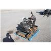 Image 3 : Sommers LPA3A0 skid mounted single phase generator