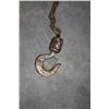 Image 4 : 3/4T chain fall