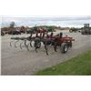 Image 6 : CIH 6500 Conser-till 9 shank soil saver, made in USA