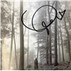 Image 1 : Folklore Taylor Swift facsimile signed  photo