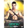 Image 1 : Arrow Stephen Amell facsimile signed photo