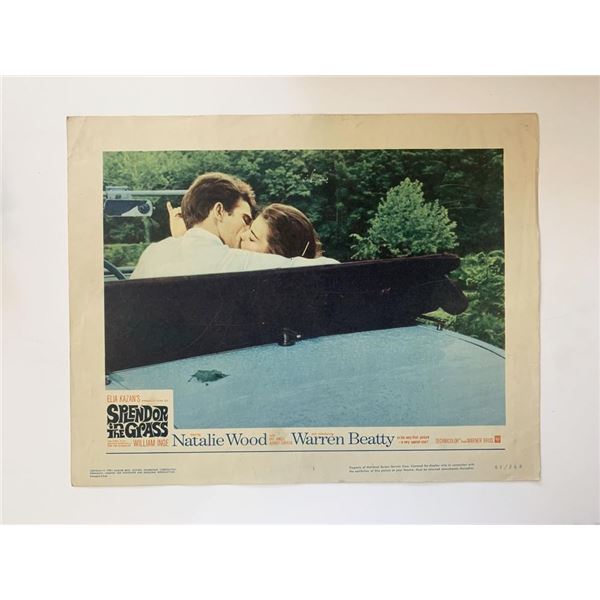Splendor in the Grass original 1961 vintage lobby card