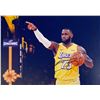 Image 1 : NBA All Star LeBron James facsimile signed  photo
