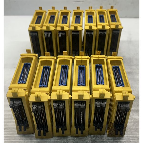 Lot of (13) Fanuc #A03B-0815-C003 Modules