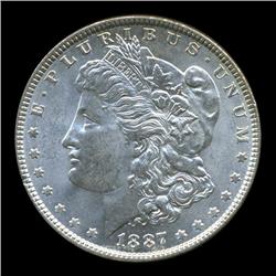 1887 Morgan Dollar Choice+ RARE Varieties (COI-5623)