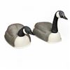 Image 1 : Carry-Lite 42" Super Magnum Goose Decoys X 6 Qty