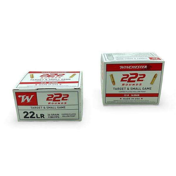 Winchester Target & Small Game .22 LR, 36 Grain Copper Plated Hollow Point Ammunition, 444 Rounds