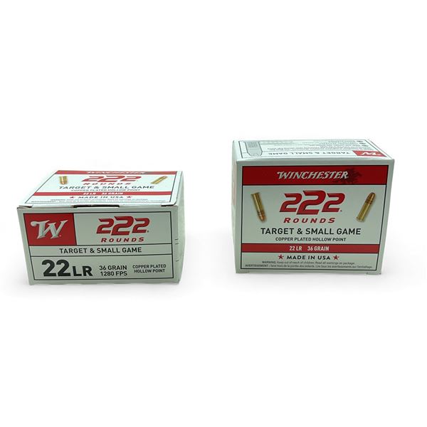 Winchester Target & Small Game .22 LR, 36 Grain Copper Plated Hollow Point Ammunition, 444 Rounds