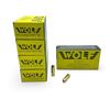 Image 1 : Wolf 45 LC, 250 Grain RNFP TMJ Ammunition, 250 Rounds