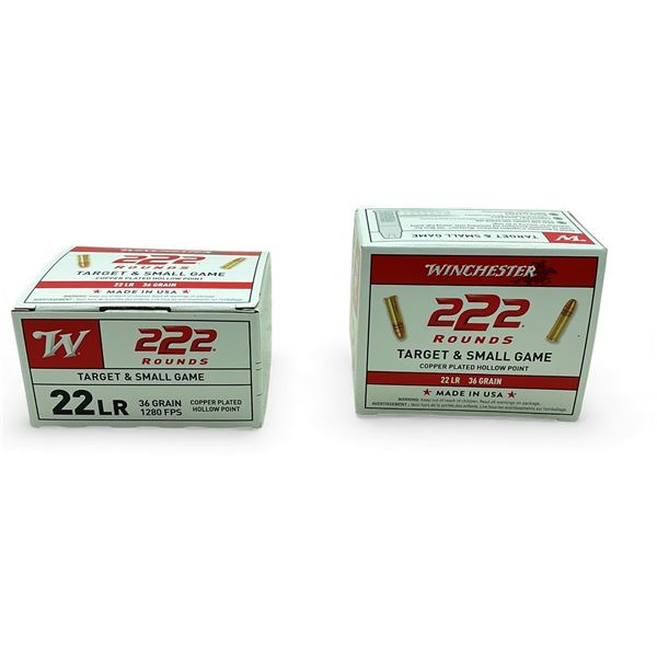 Winchester Target & Small Game .22 LR, 36 Grain Copper Plated Hollow Point Ammunition, 444 Rounds