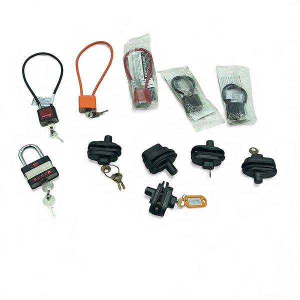 Assorted Cable and Trigger Locks X 11 Qty