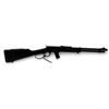 Image 1 : Derya TM22 Lever Action Rifle 22LR 18" Threaded Barrel Black Synthetic Stock, New