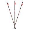 Image 1 : Carbon Express 400 D-Stroyer MX Hunter, 32" 6 Pk, New
