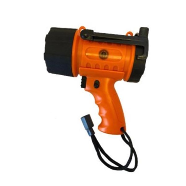 Blue Dog Battery Operated Water Resistance Operated Spotlight, New