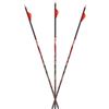 Image 1 : Carbon Express 400 D-Stroyer MX Hunter, 32" 6 Pk, New