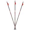 Image 1 : Carbon Express 350 D-Stroyer MX Hunter, 32" 6Pk, New