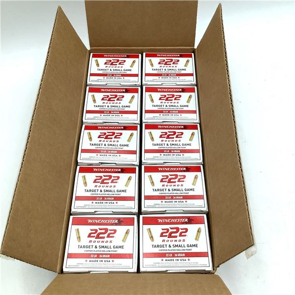 Winchester .22 LR, 36 Grain Lubaloy Plated HP Ammunition, Case of 2220 Rounds