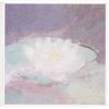 Image 1 : Framed Water Lily Print, Impressionist Style