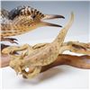 Image 2 : 2pc Boehm Porcelain Sculpture, Road Runner with Horned Toad, Signed