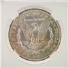 Image 3 : Morgan Silver Dollar Olathe Hoard NGC Graded Brilliant Uncirculated