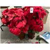 Image 1 : Silk Potted Poinsettia - Pair