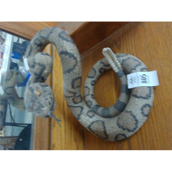 Rattlesnake Taxidermy