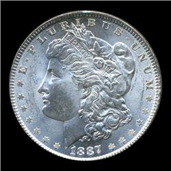 1887 Morgan Dollar Choice+ Unc (COI-5627)