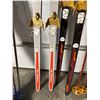 Image 7 : Ski's For the Family
