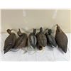 Image 1 : Rubber Decoy Ducks