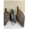 Image 2 : Rubber Decoy Ducks