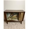 Image 1 : Refurbished Aquatic Television Cabinet