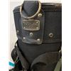 Image 3 : Golf Bag & Caddy