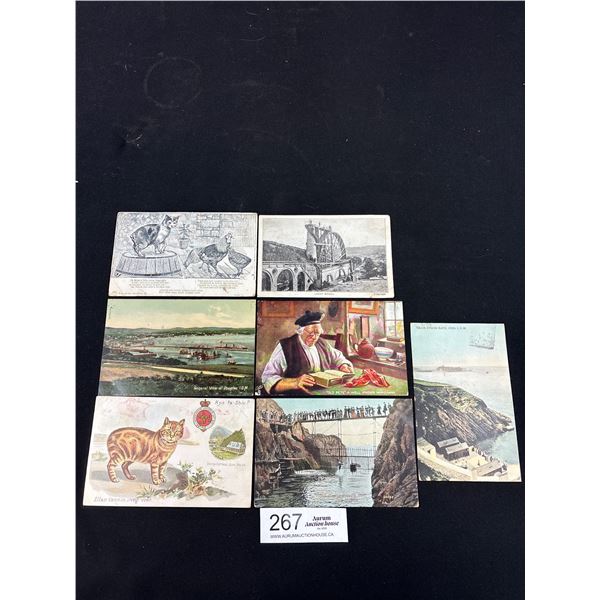 7 Vintage Isle of Man Postcards (Many Cats Etc.)