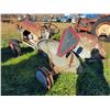 Image 9 : Ford Ferguson tractor, 3pt hitch, not running