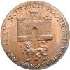 Image 1 : Norfolk. Norwich. Halfpenny, 1792
