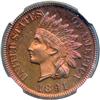 Image 1 : 1891 Indian 1c NGC PF65RD