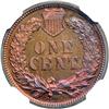 Image 2 : 1891 Indian 1c NGC PF65RD