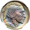 Image 1 : 1913 Buffalo 5C. Type 1 NGC MS68 Star