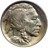 Image 1 : 1913-D Buffalo 5C. Type 1 PCGS MS66