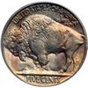 Image 2 : 1915 Buffalo 5C PCGS MS66