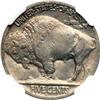 Image 2 : 1920-D Buffalo 5C NGC MS65