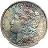 Image 1 : 1878 Morgan $1. 8 Tail Feathers NGC MS64