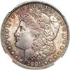Image 1 : 1881 Morgan $1 NGC MS64