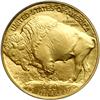 Image 2 : 2006 $50 Gold Buffalo ICG MS70