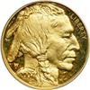 Image 1 : 2007-W. Gold Buffalo 1 oz. First Strike Proof