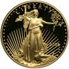 Image 1 : 2006 $50 Gold Eagle Gem Proof