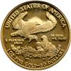 Image 2 : 2008-W American Gold Eagle